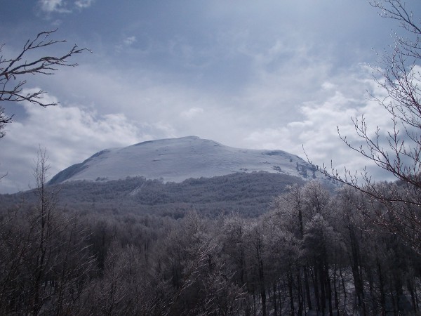 Il Pollino